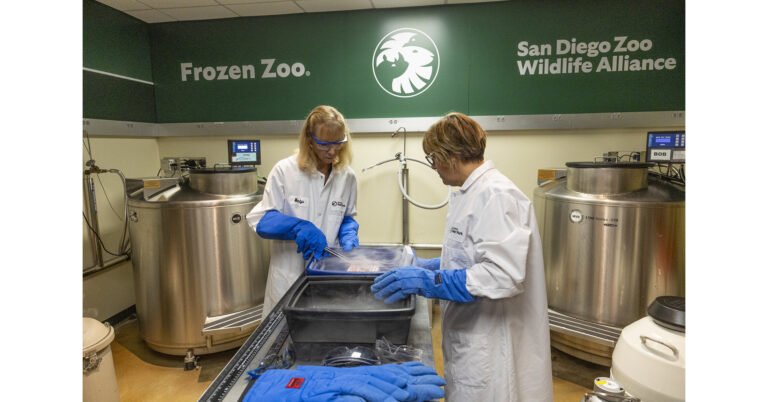 San_Diego_Zoo_Wildlife_Alliance___Marlys_Houck_and_Ann_Misuraca.jpg